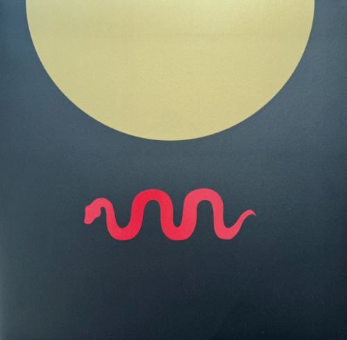 Under the Midnight Sun